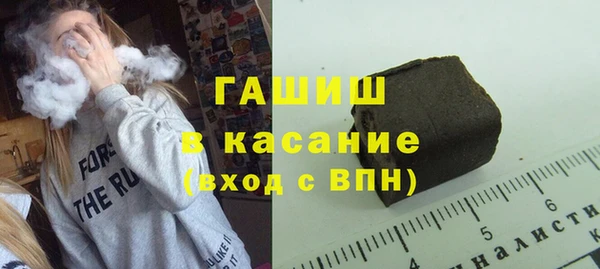 индика Няндома