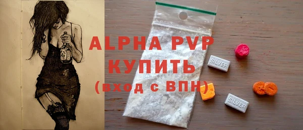 индика Няндома