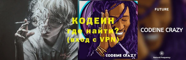 шишки Осташков