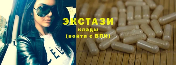 индика Няндома