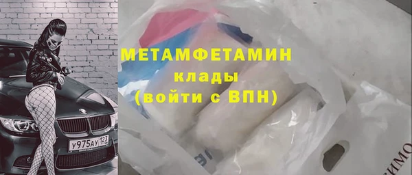 индика Няндома