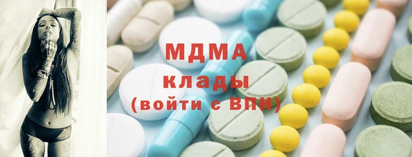 индика Няндома