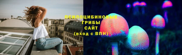 амф Осинники