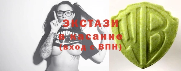 индика Няндома