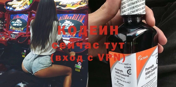 шишки Осташков