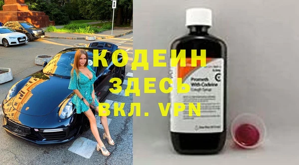 шишки Осташков