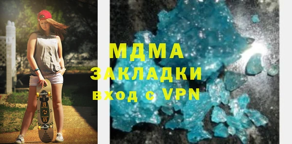 индика Няндома
