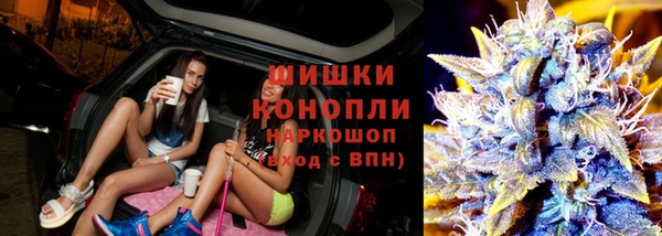 индика Няндома