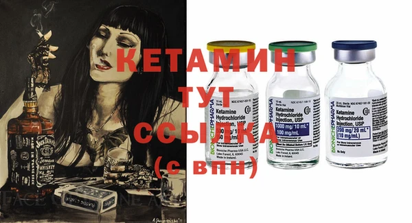 индика Няндома