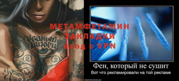 шишки Осташков