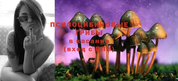 гидропоника Остров