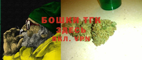 индика Няндома