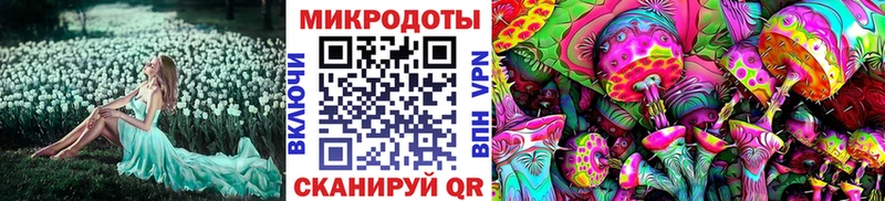 mega онион  Зубцов  Галлюциногенные грибы Cubensis 